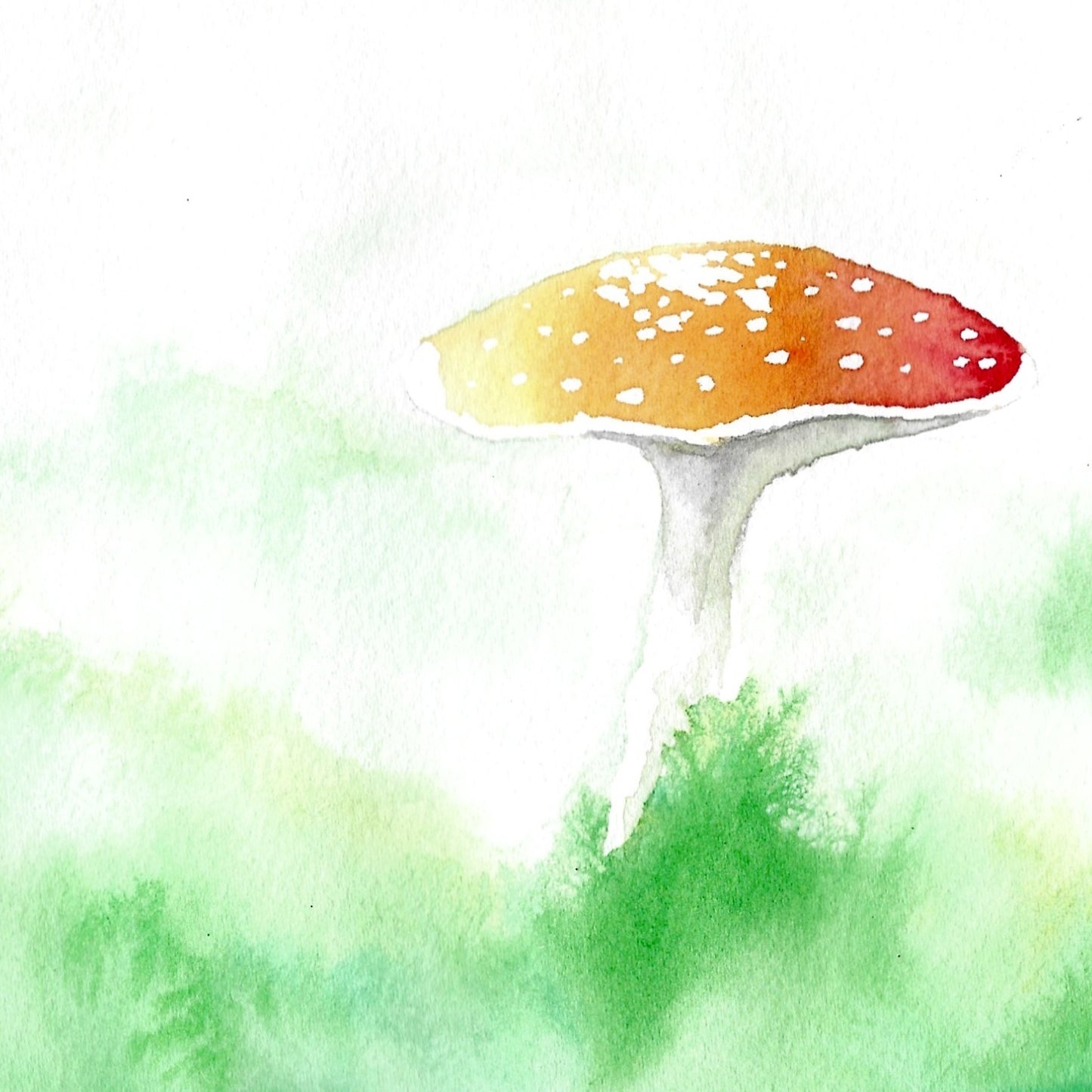 The Mushroom